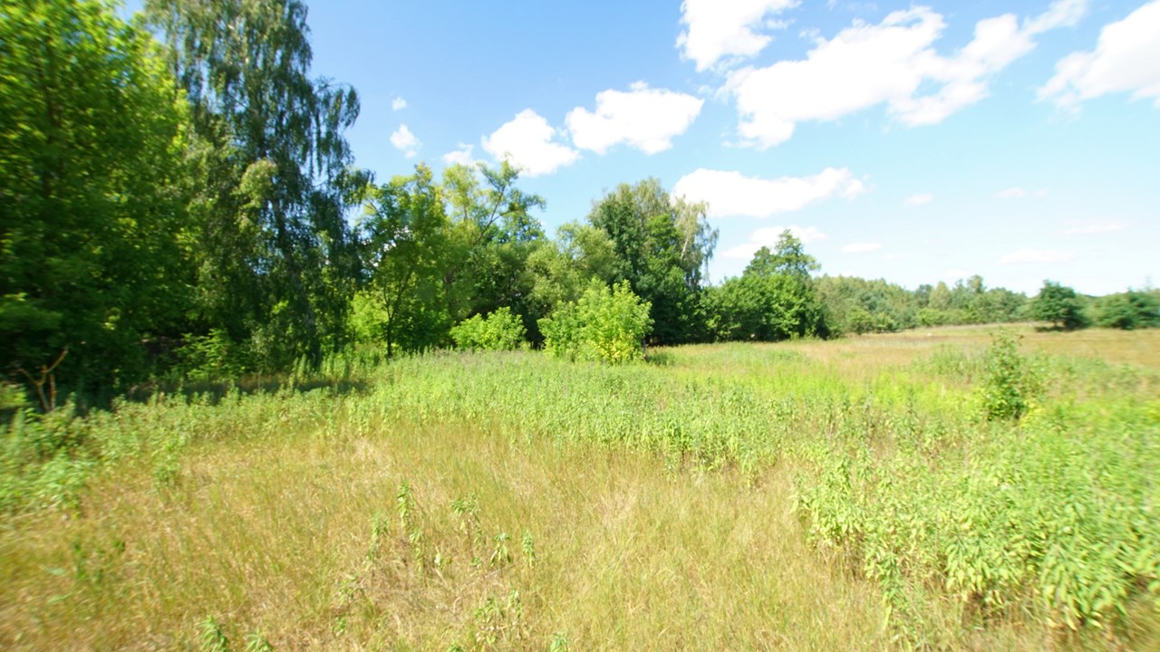 Działka rekreacyjno-budowlana nad jeziorem