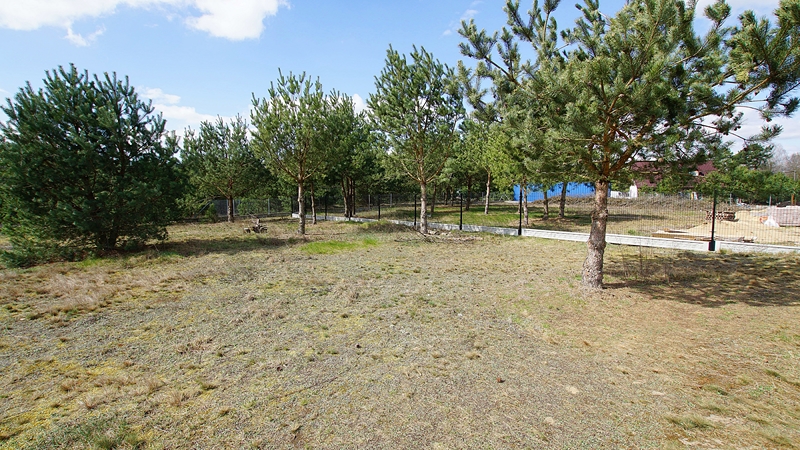 12 Kopiowanie